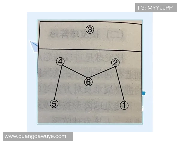 深圳排球队区域防守策略解析与深度剖析排球战术的关键要素